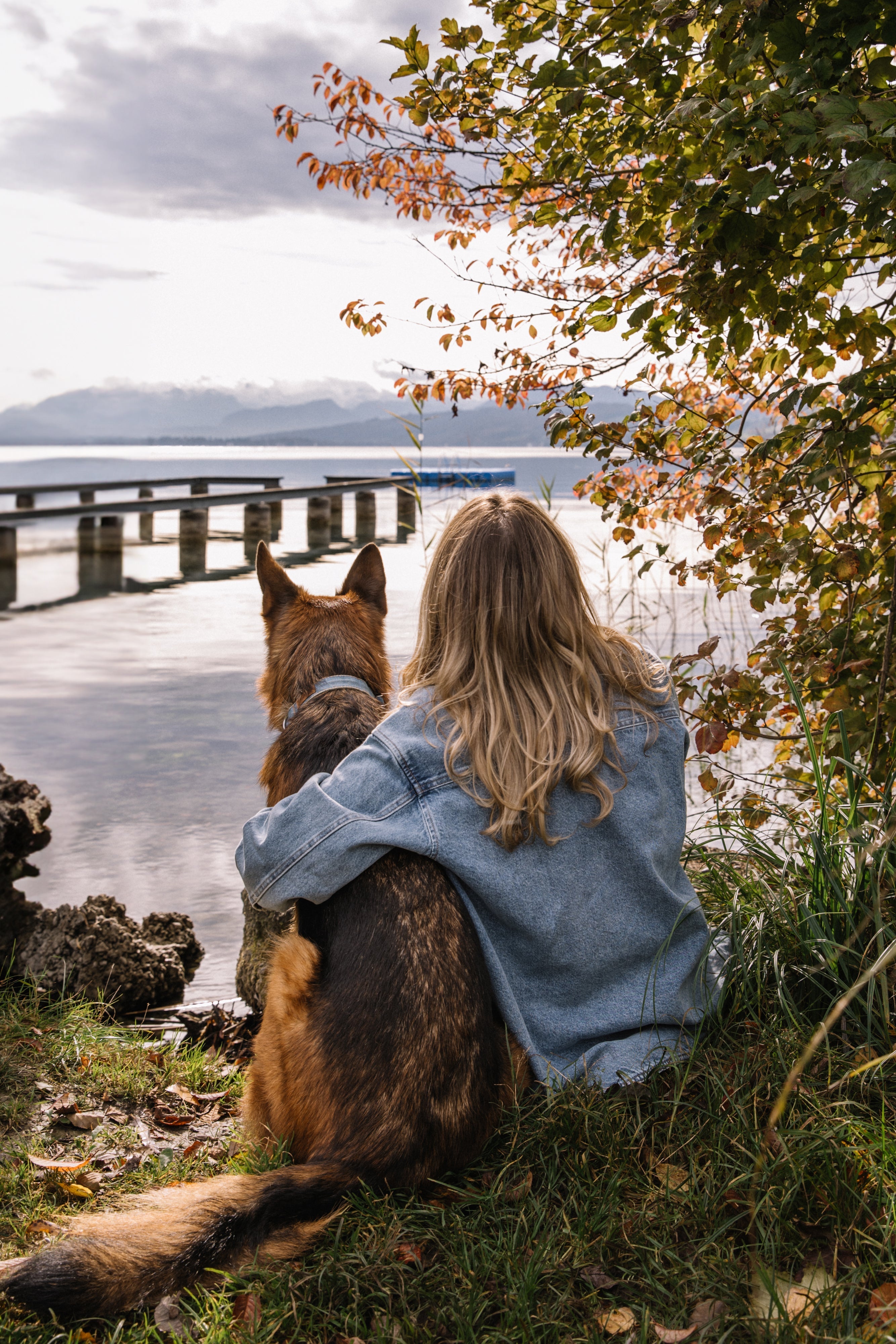 Moved to Zurich With a Dog? What You Must Do in the First 10 Days